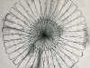 RadialSymmetry
